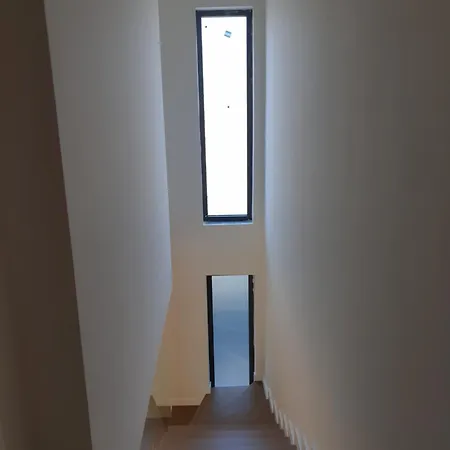 S *